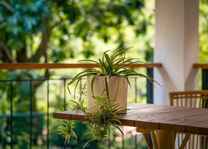 Guest house Cote Cedres